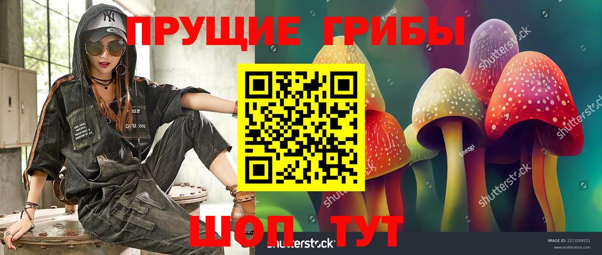 Галлюциногенные грибы Cubensis Тверь