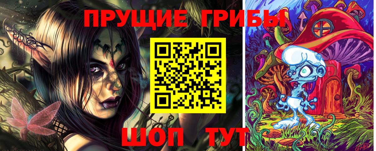 Псилоцибиновые грибы GOLDEN TEACHER  Вход с VPN  Тверь 